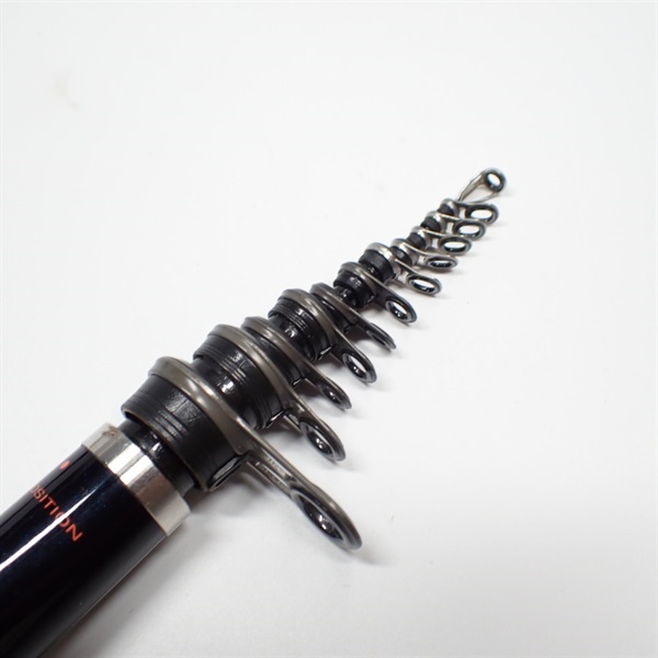 １０アオリスタイソ５００